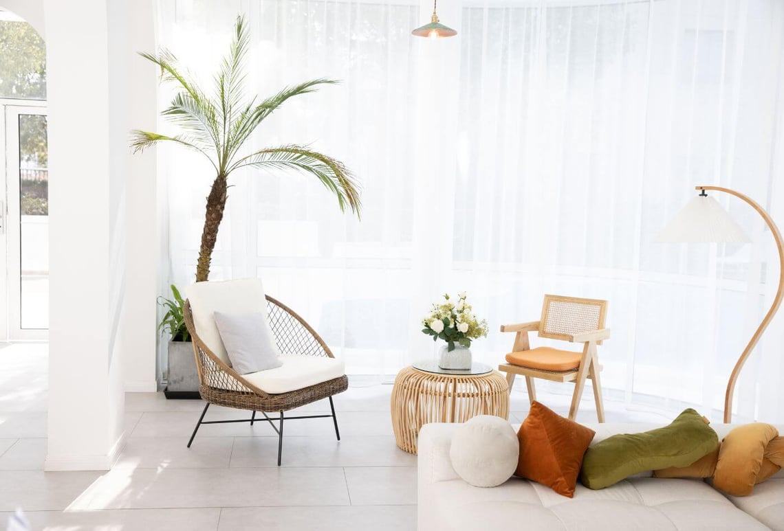 Calm consultation setting with comfortable seating and natural elements